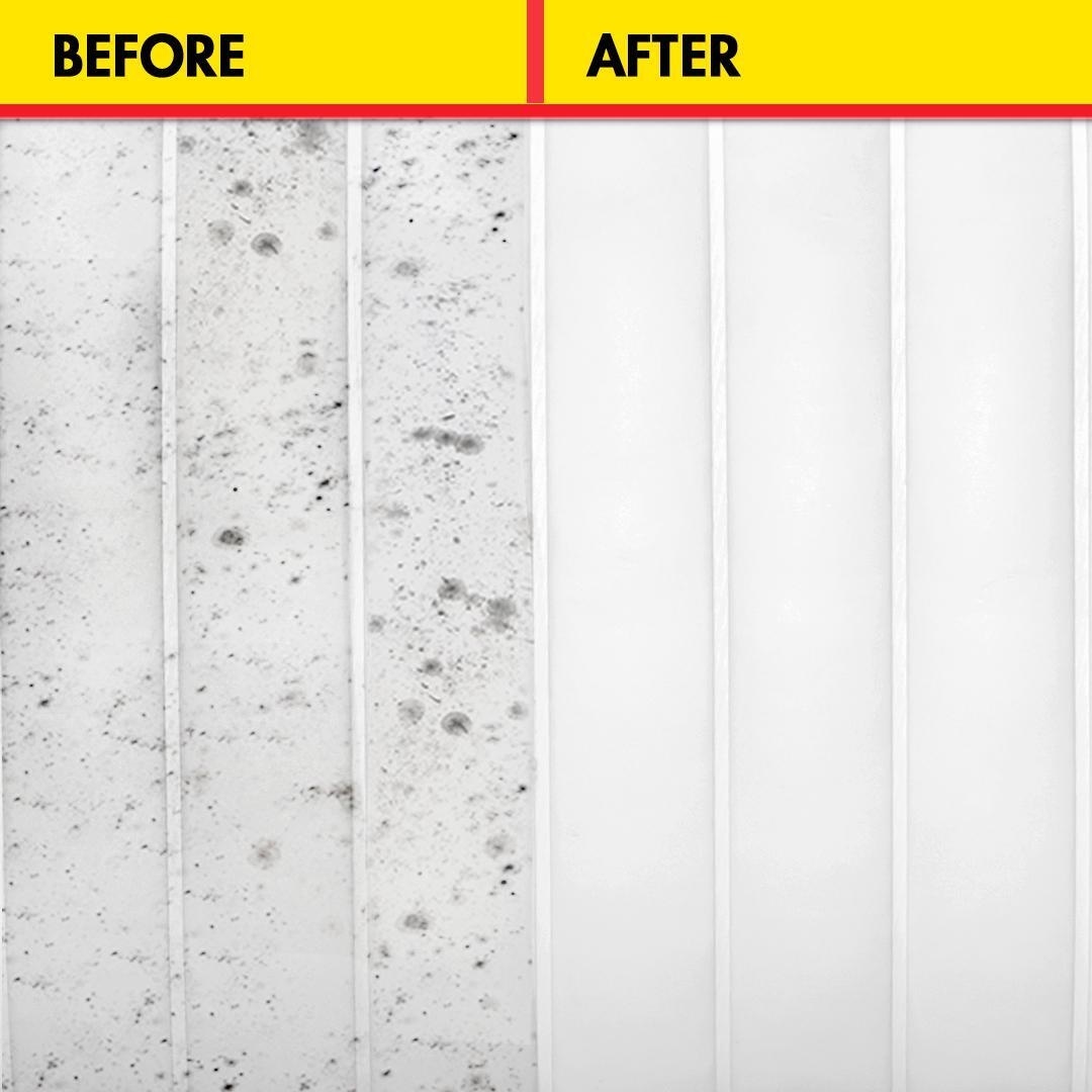 MSR Black Stain Remover