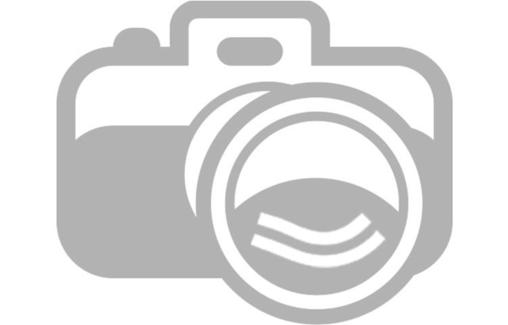 Mengbuis sikafast 50ml