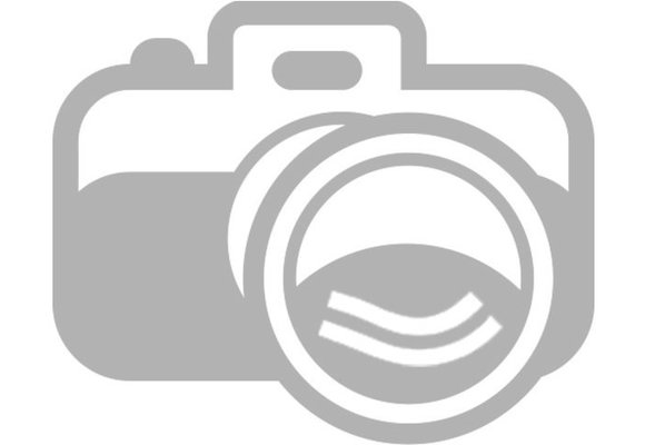 Mengbuis sikafast 50ml