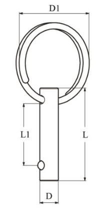 Fastpin met ring 5mm 25mm