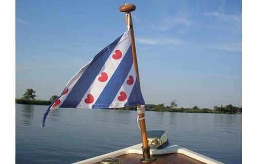 Friese puntvlag
