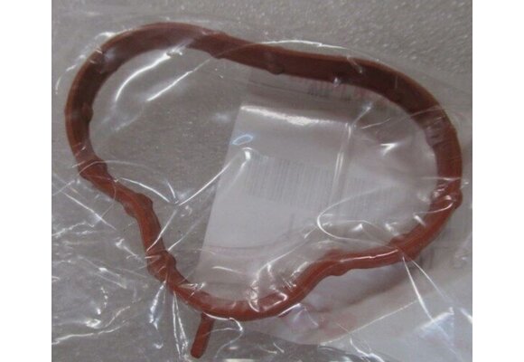 Inlaatspruitstuk pakking