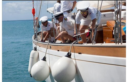 Dan fender - balfender | Wit