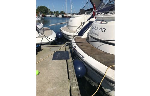 Dan fender | Balfender - Oranje