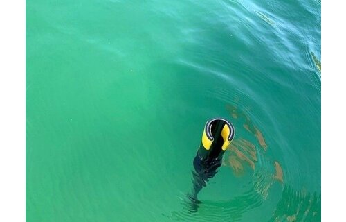 Pikhaak oprolbaar/drijvend 190 cm