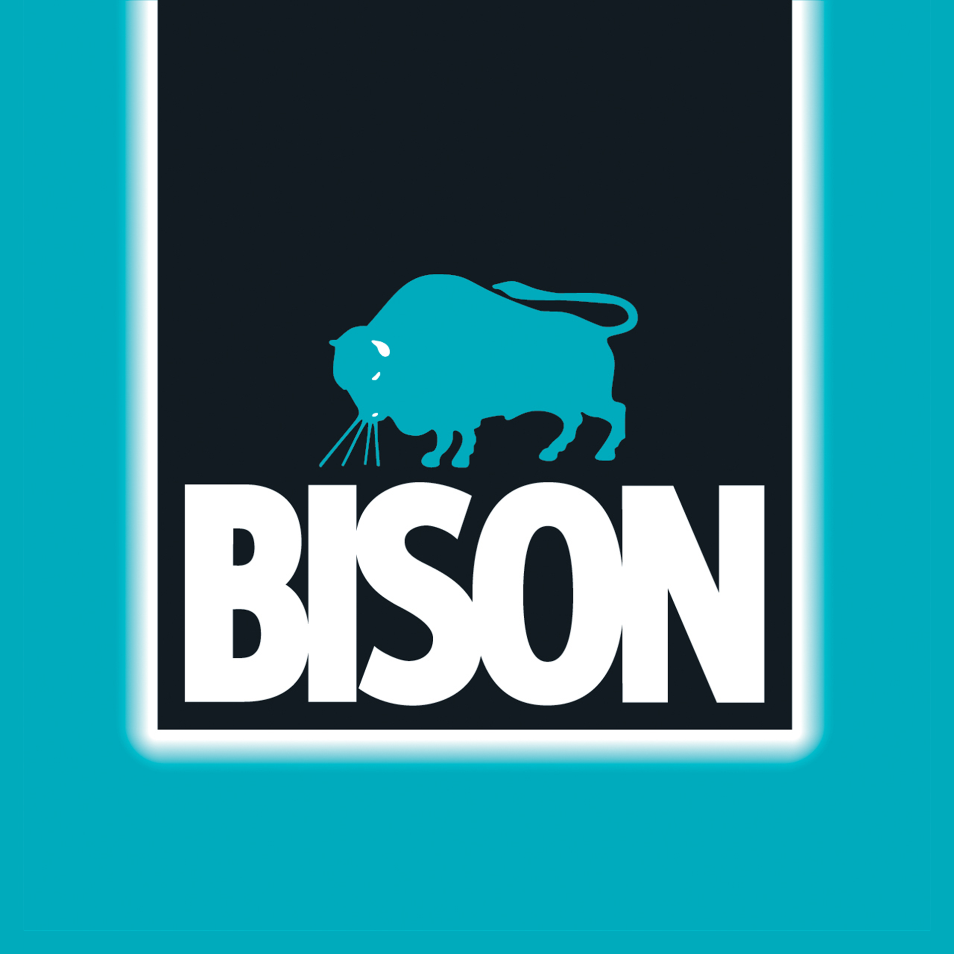 Logo Bison