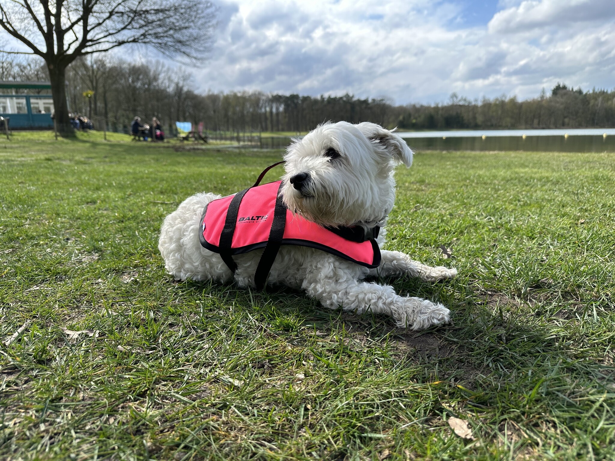 Baltic Pluto Hondenzwemvest Roze