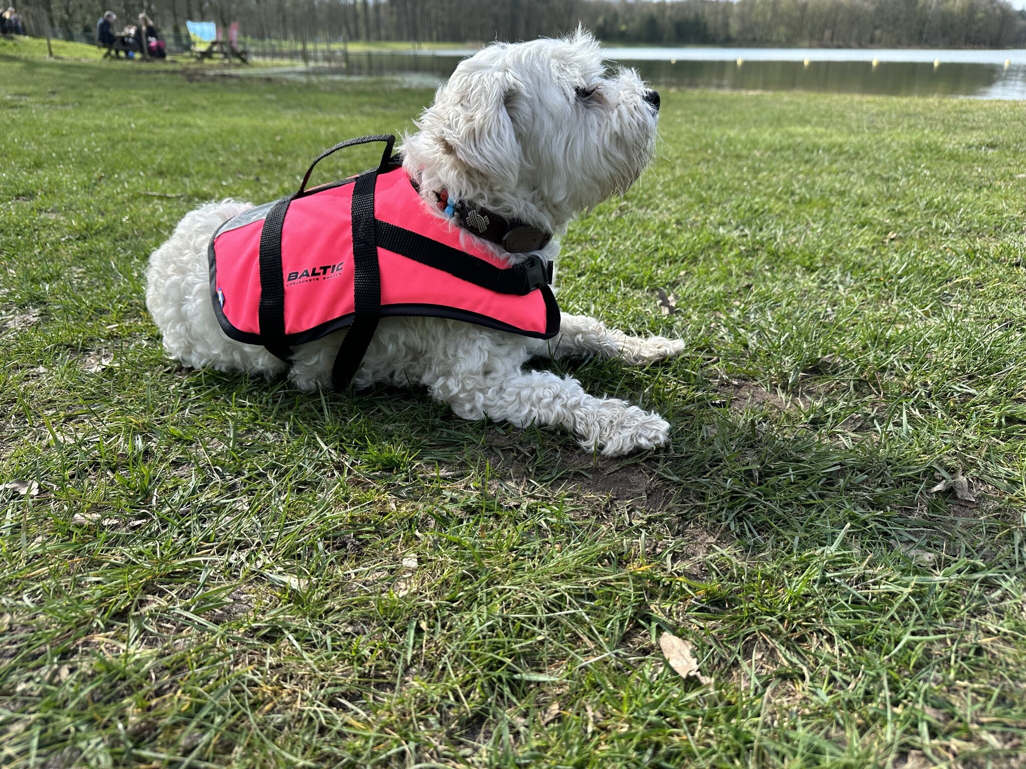 Baltic Pluto Hondenzwemvest Roze