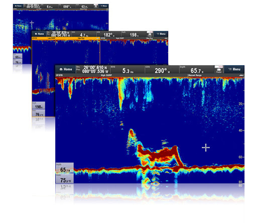 Raymarine CP570 Clear Pulse 570 Chirp