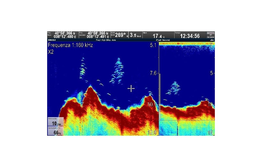 Raymarine CP570 Clear Pulse 570 Chirp
