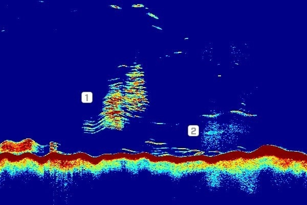Raymarine CP470 Clear Pulse 470 CHIRP