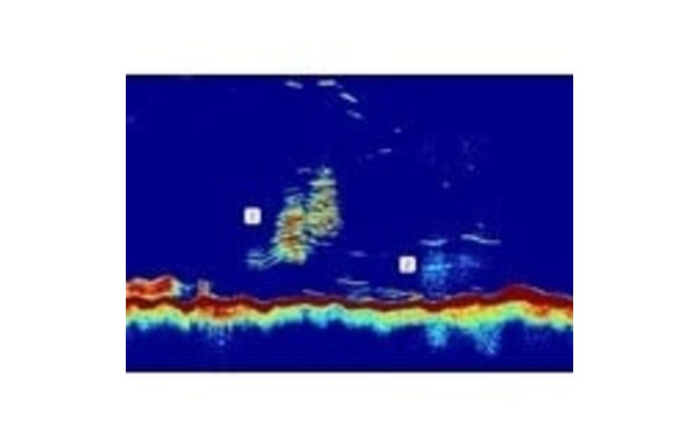 Raymarine CP470 Clear Pulse 470 CHIRP