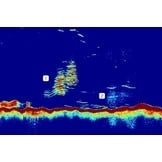 Raymarine CP470 Clear Pulse 470 CHIRP