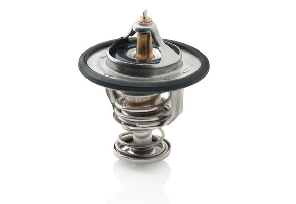 VETUS Thermostaat VH4.65/80