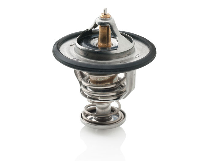 VETUS Thermostaat VH4.65/80