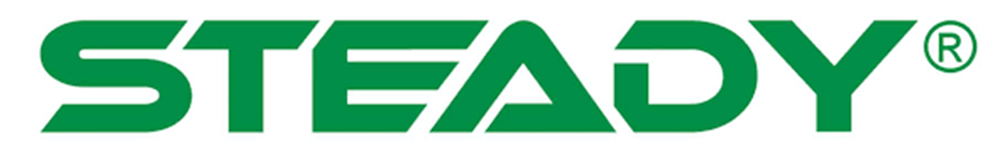 Logo Steady