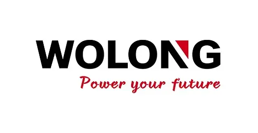 Logo Wolong