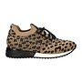 Turnschuhe Schwarz Gestrickt Beige Leopars Stones