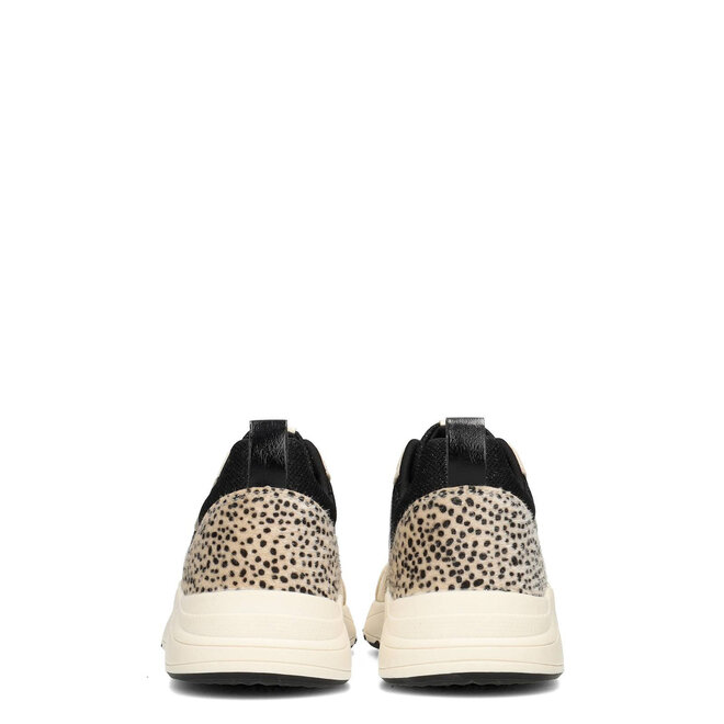 Sneakers Schwarz Carocel Beige Kombi