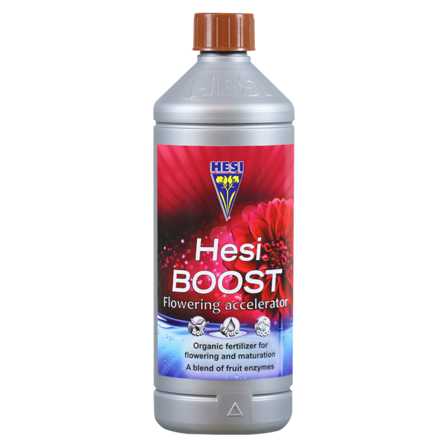 Hesi Boost