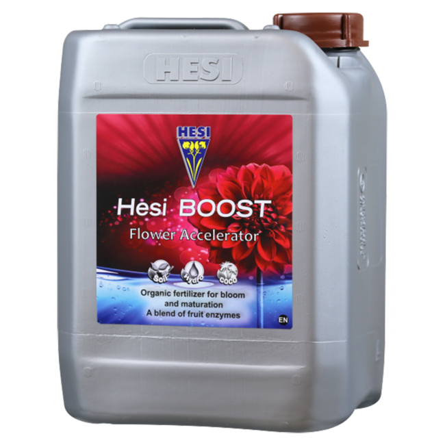 Hesi Boost