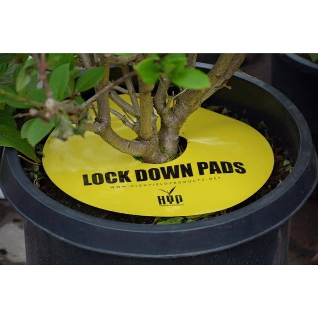 HYP Lockdown Pads