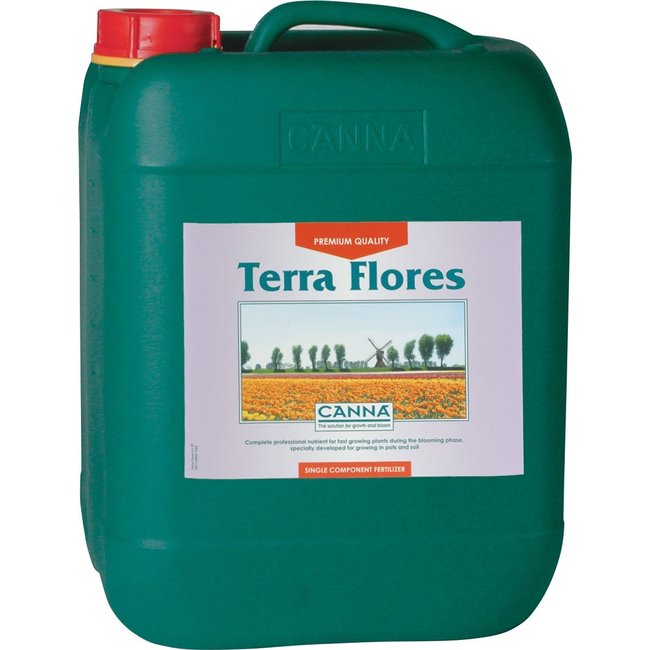 Canna Terra Flores