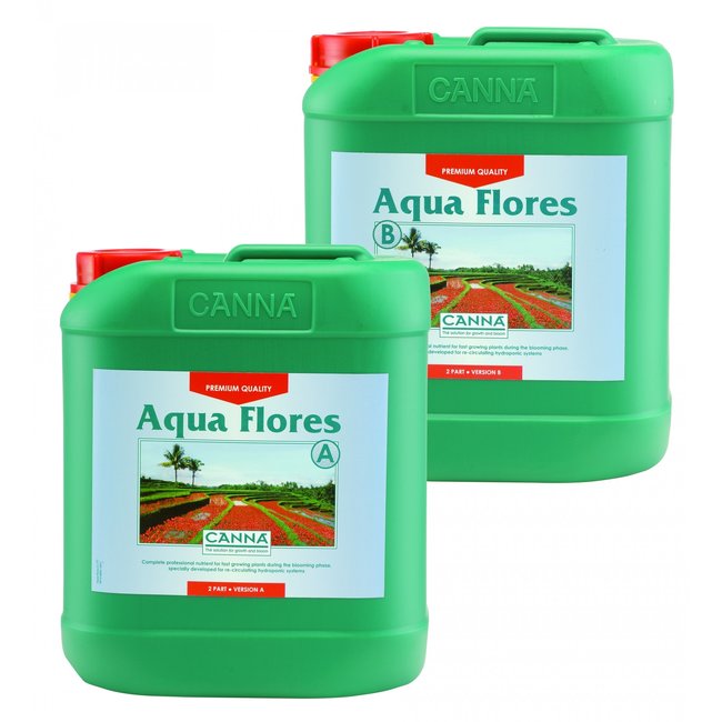 Canna Aqua Flores - Bloom