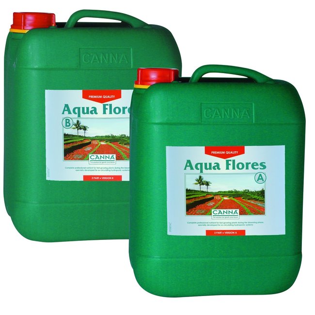 Canna Aqua Flores - Bloom