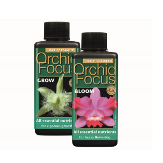 Growth Technology Orchid Focus