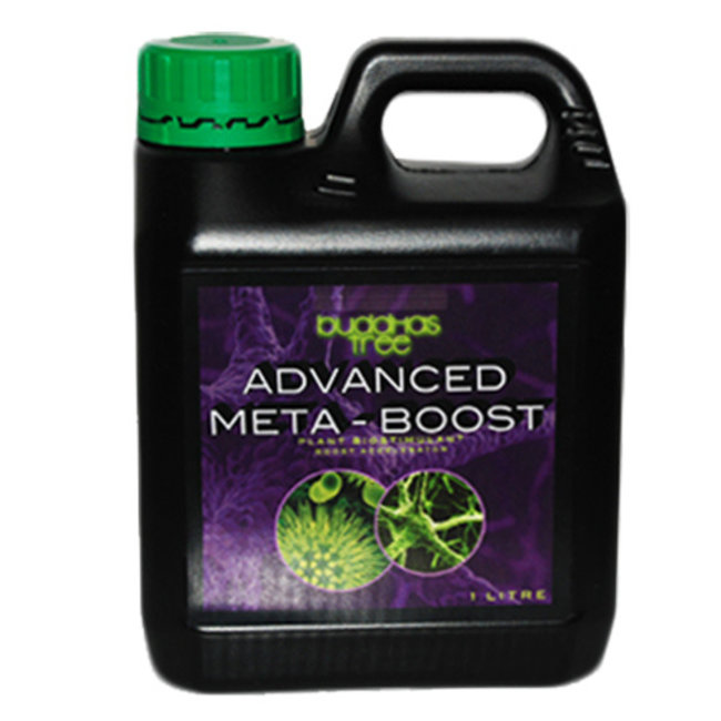 Buddhas Tree Advanced Meta-Boost