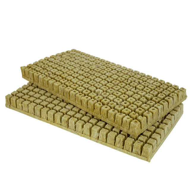 Grodan Rockwool Cubes