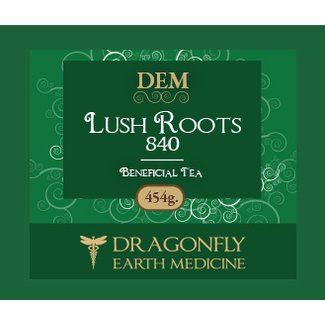 Dragonfly Earth Medicine Lush Roots