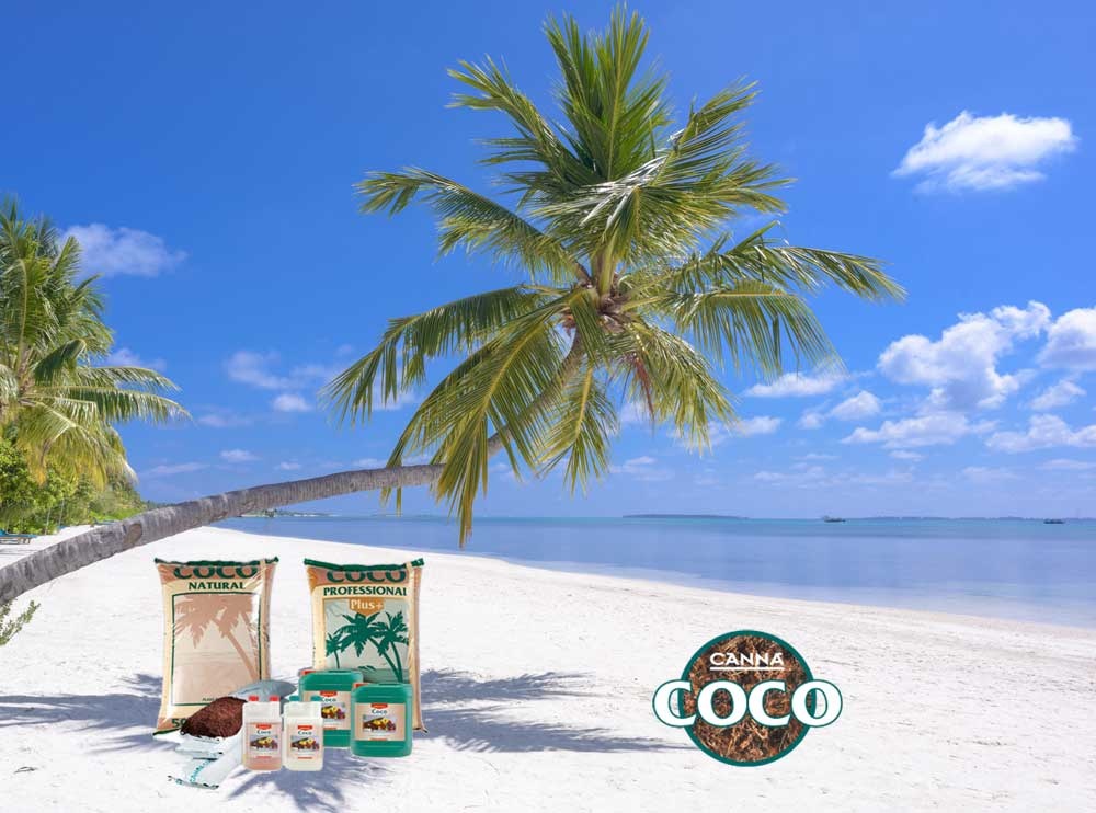 Canna Coco Nutrients & Substrates