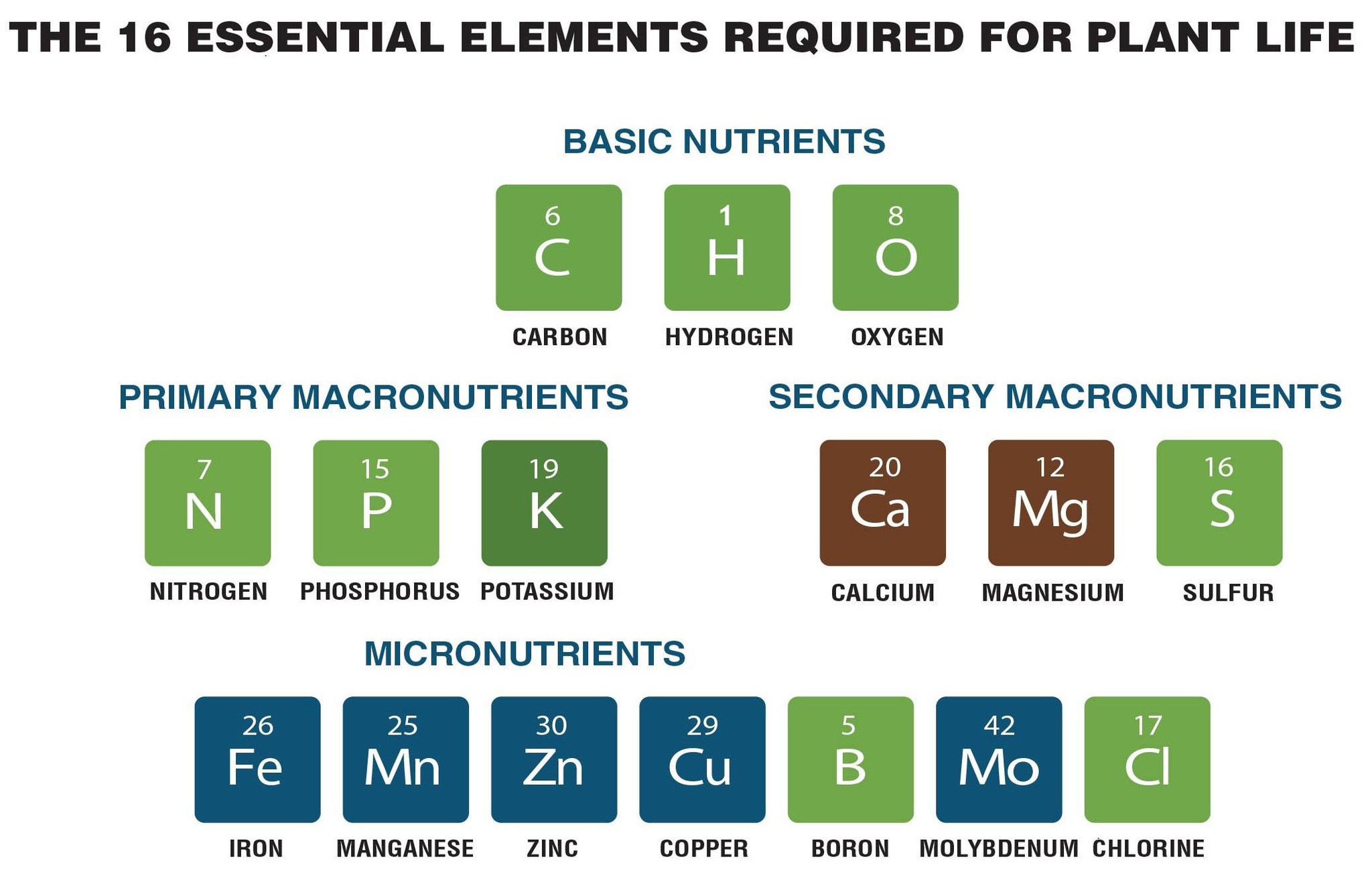 are the 16 essential nutrients that uses?