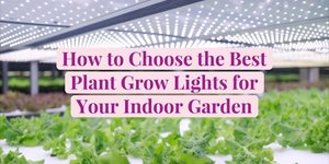 Arrangement of lighting inside in grow rooms 