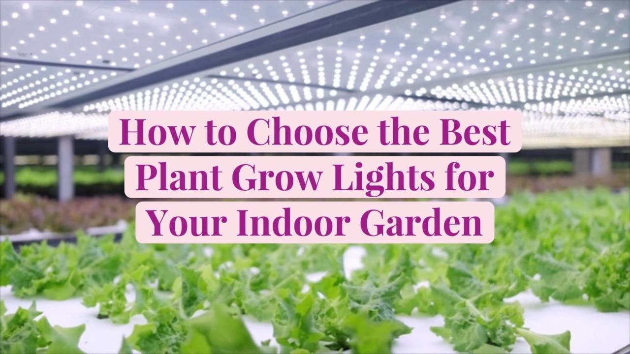 Arrangement of lighting inside in grow rooms 