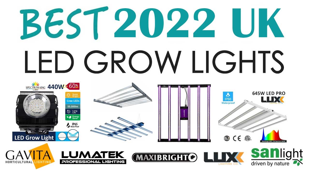 Best 2022 LED Grow Lights UK