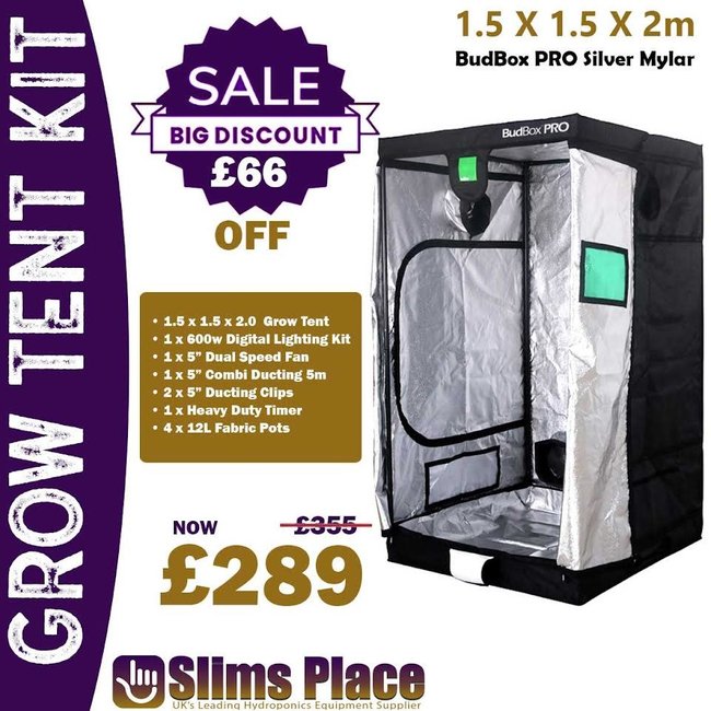 Grow Tent Kit BudBox PRO Tent Kit 1.5 x 1.5 x 2m Silver Mylar