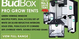 BudBox PRO Grow Tents