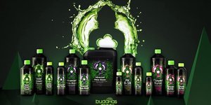 Buddhas Tree Feed Chart