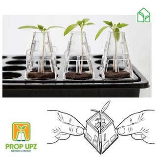 Prop Upz Seedling Plant Support - 6 pack