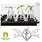 Prop Upz Seedling Plant Support - 6 pack