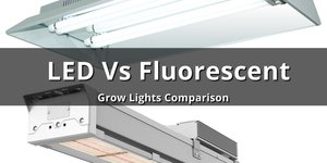 LED vs. Fluorescent Grow Lights