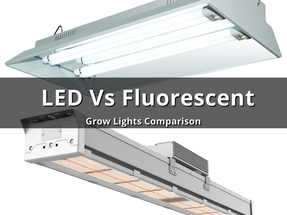 LED vs. Fluorescent Grow Lights