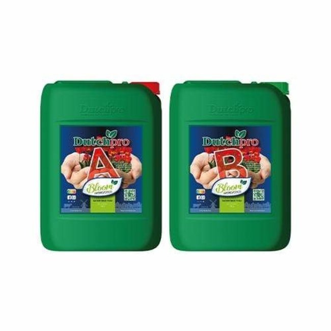 Dutch Pro Dutch Pro - Original Bloom