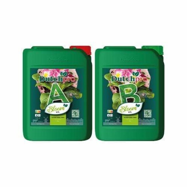 Dutch Pro Dutch Pro - Original Bloom