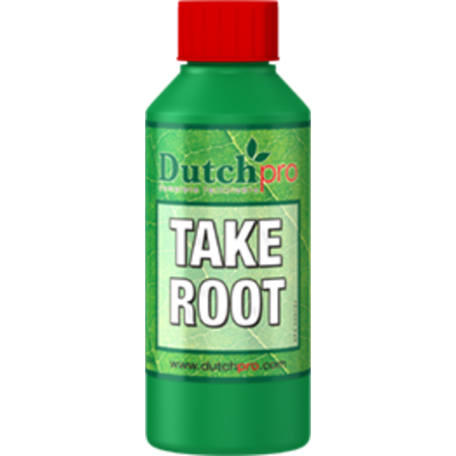 Dutch Pro Take Root