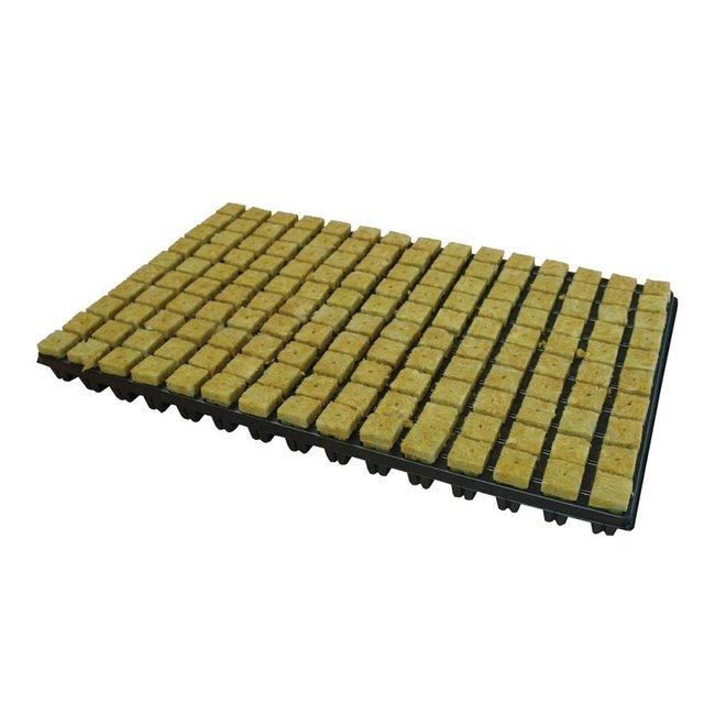 Grodan Rockwool Cubes