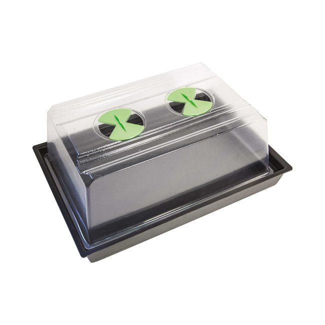 X-Stream Unheated Propagator